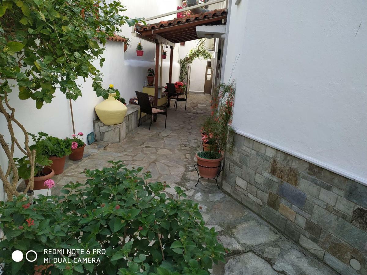 Pension Nikolas Skiathos by Eksteriør billede