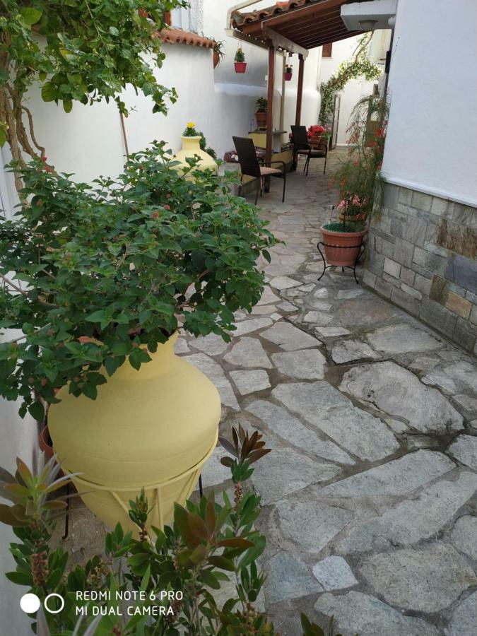 Pension Nikolas Skiathos by Eksteriør billede